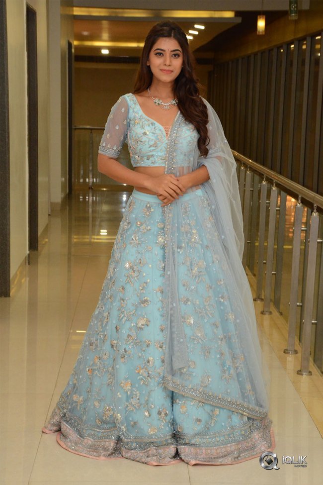 Yamini-at-Nartanasala-Pre-Release-Event